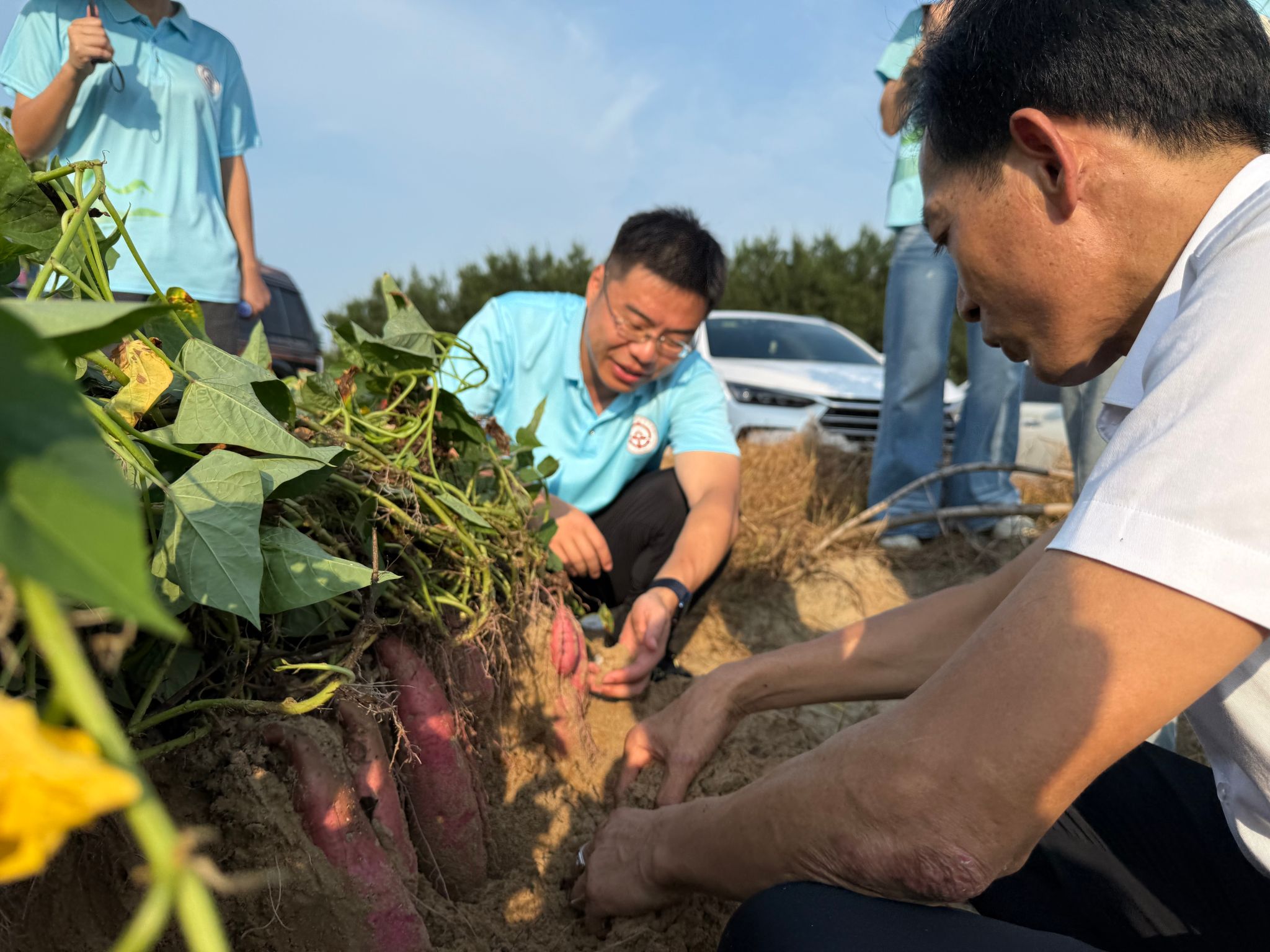 bti������(�й�)�ٷ���վ - APP����