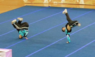 A2264835078A78D17B2F9600F44_C09585C1_2FE0E